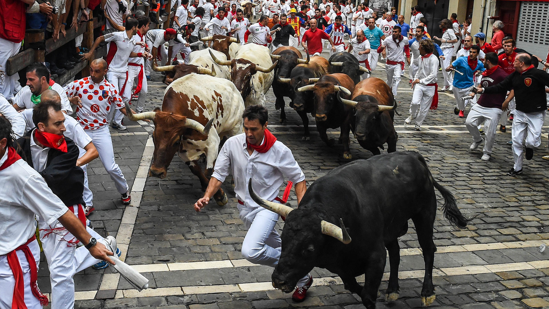 Побег от быка. Сан-Фермин в Испании праздник.