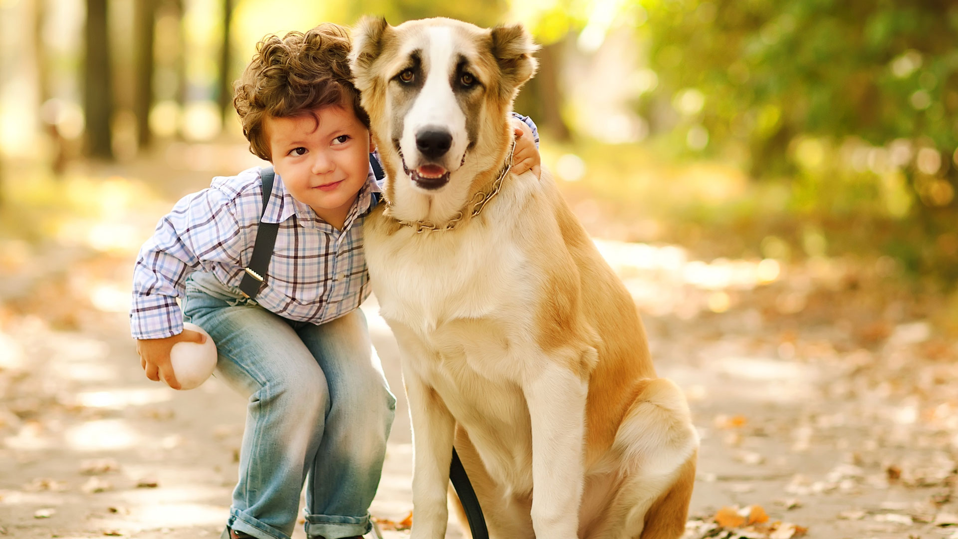 Pets find out. Собачки для детей. Баннер для животных. Собака картинка для детей. Дружба собаки и ребенка.