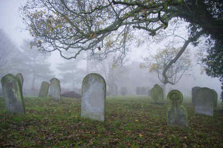 Cementerio con niebla