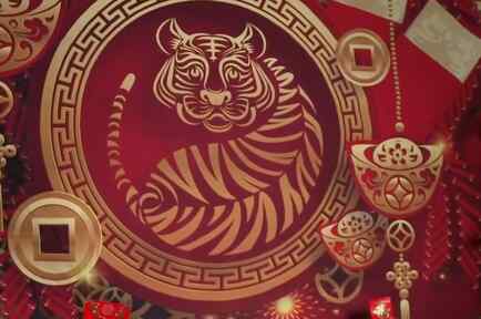 Astrológa revela cómo será el Año del Tigre