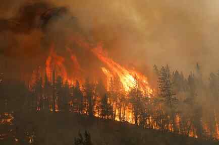 incendio forestal en california.jpg