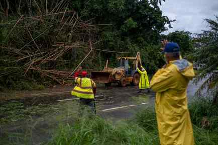 Los trabajadores guían a una excavadora para quitar un árbol de bambú caído después de que la tormenta tropical Isaías afectara el área en Mayagüez, Puerto Rico