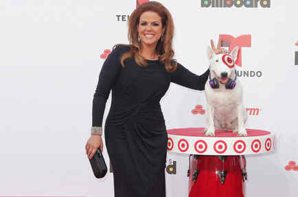 Target&#039;s Beloved Bull Terrier Mascot Bullseye Hits The 2013 Billboard Latin Music Awards Red Carpet