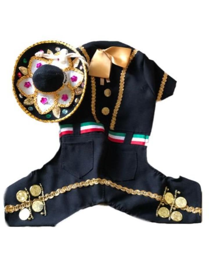 Mariachi Dog Costume