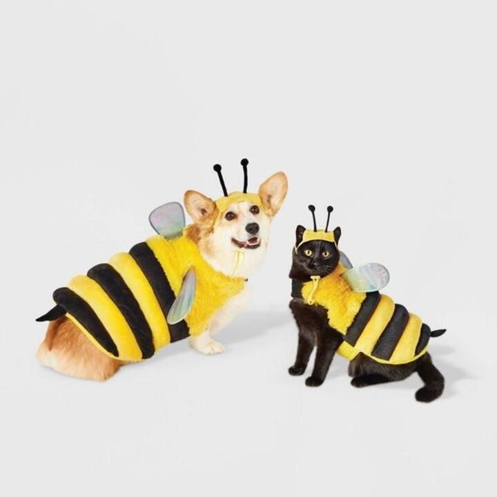 Bumble Bee Halloween Dog Costume