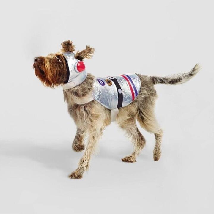 Halloween Full Body Astronaut Dog Costume