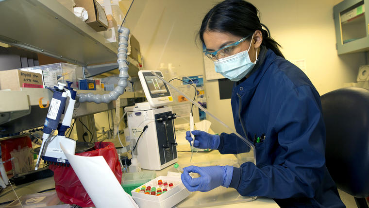 La científica de laboratorio médico, Alicia Bui, realiza una prueba clínica en el laboratorio de inmunología de la Universidad de Washington en busca de anticuerpos contra el COVID-19 el 17 de abril, en Seattle, Washington. El plasma que está examinando p