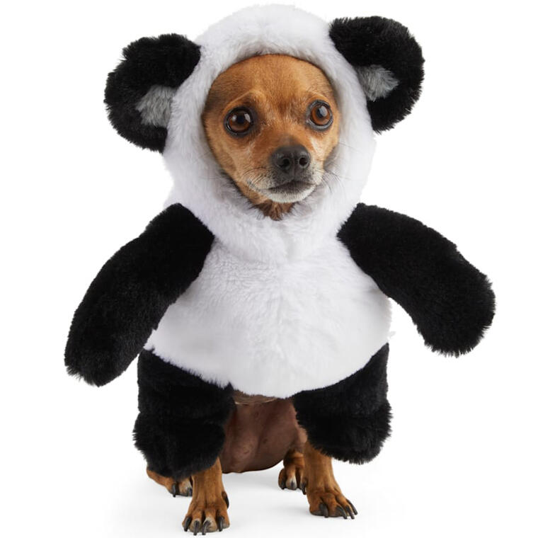 Bootique Panda Bear Pet Illusion Costume, XX-Small - Petco