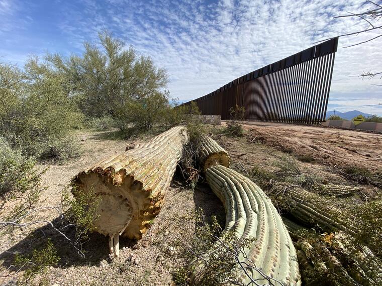 El Centro para la Diversidad Biológica y otros grupos ecologistas advierten de que el muro fronterizo pone en peligro a los habitantes y al ecosistema en las comunidades fronterizas