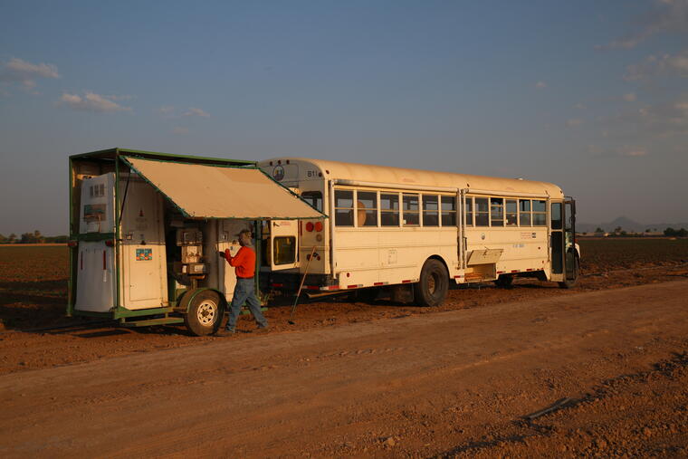 Cada día, autobuses como estos transportan a jornaleros hacia campos en Arizona y en California.
