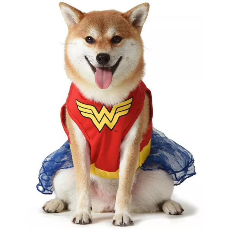DC Comics Wonder Woman Dog Halloween Costume - Urban Outfitters
