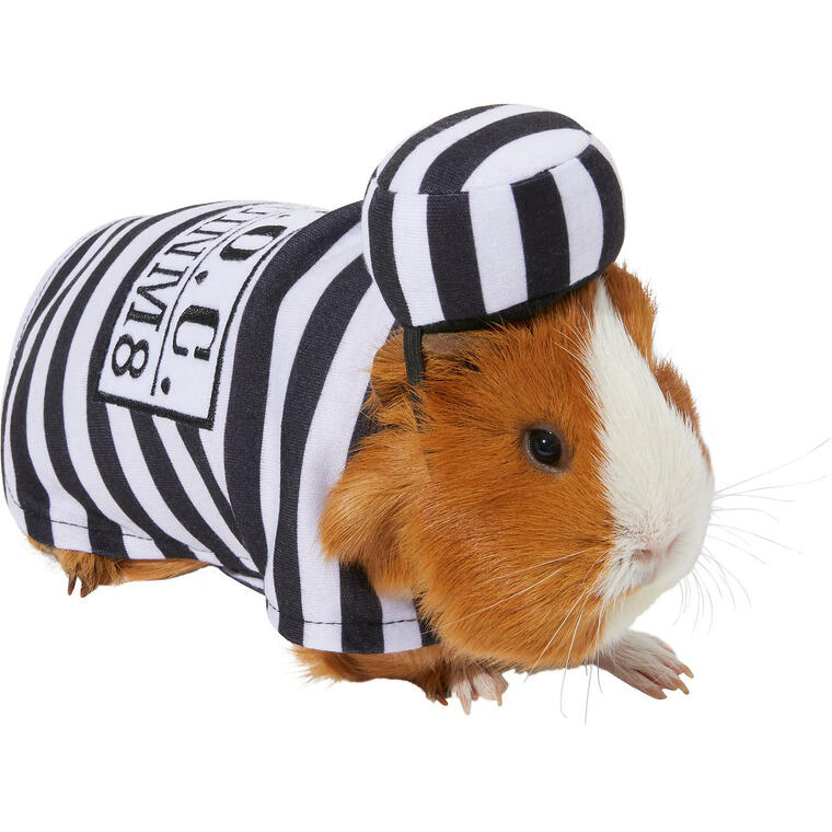 Frisco Prisoner Guinea Pig Costume, One Size - Sitio