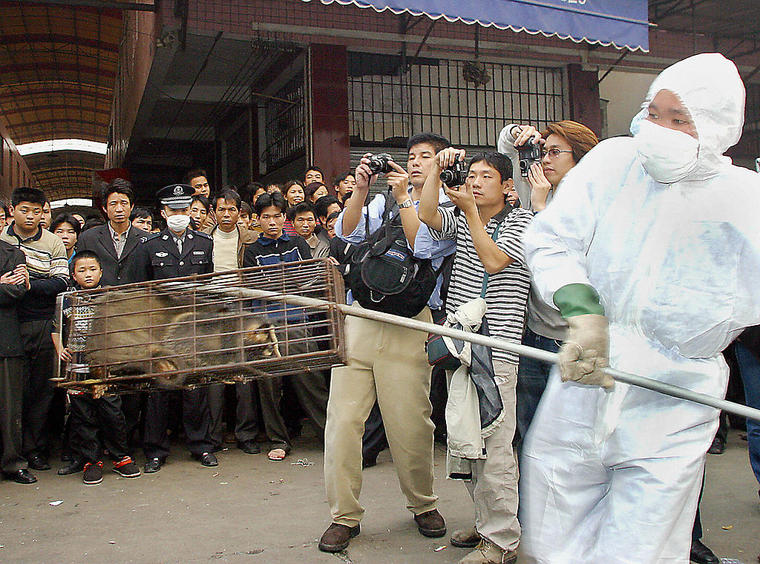 En esta foto de inicio de los 2000 se ve un gato civeta siendo sacado de un mercado, luego de que los científicos relacionaran la epidemia de SARS a este mamífero que se vendía para el consumo.