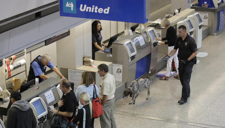 Control de seguridad con un perro en el aeropuerto de Salt Lake City en junio.