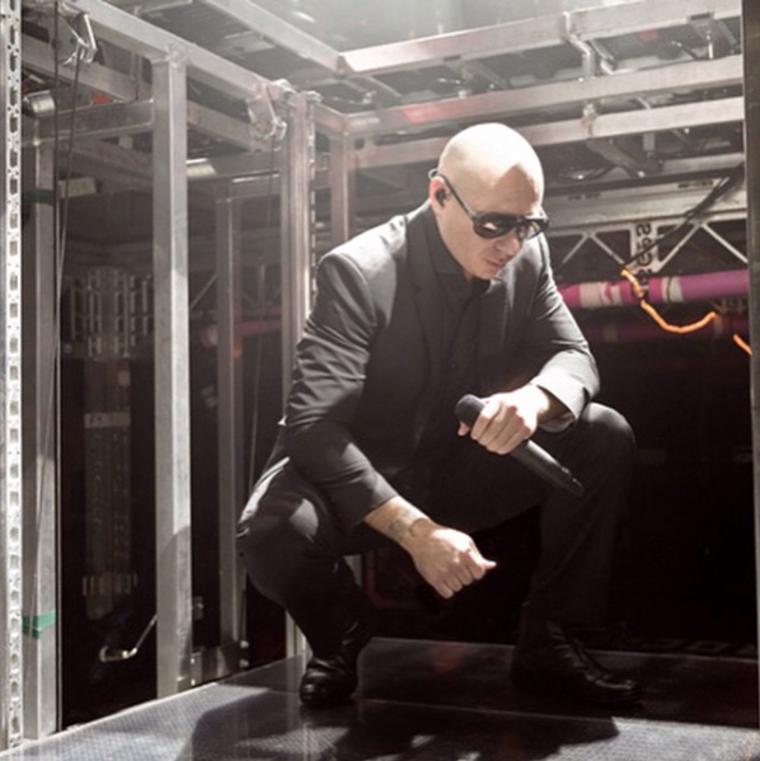 Pitbull - Foto Instagram