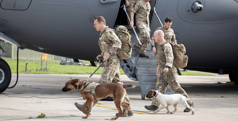 Personal militar y perros llegan a Reino Unido tras ser evacuados de Afganistán. 