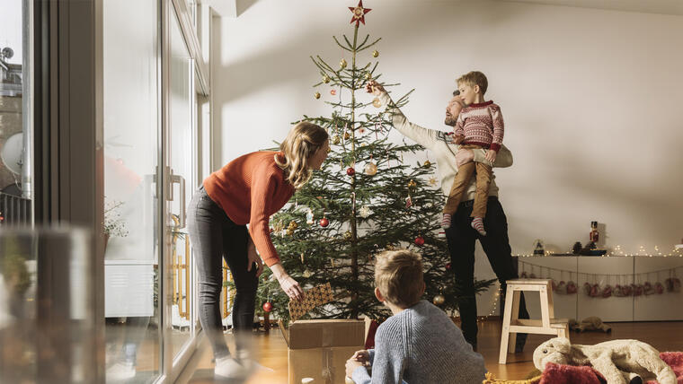 18 árboles de navidad para todo tipo de decoración | Telemundo