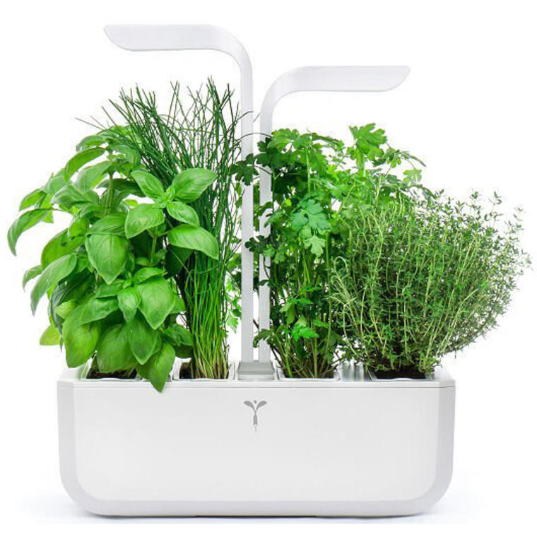 LED Self-Watering Multi-Herb Garden - Uncommon Goods