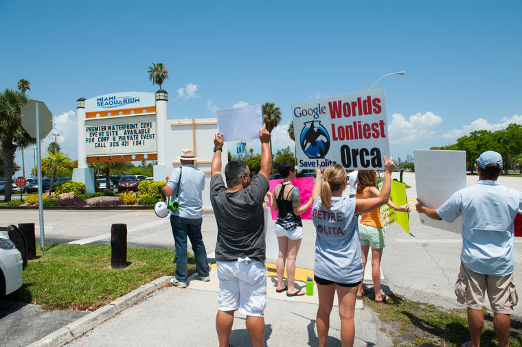 Un grupo de manifestantes durante una protesta en las afueras del Miami Seaquarium, en Florida, para exigir la liberación de la orca Lolita. 