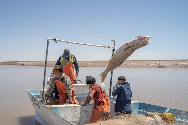 Pescadores del pueblo Cucapá durante la pesca de curvina golfina en El Zanjón, Baja California, abril de 2021.