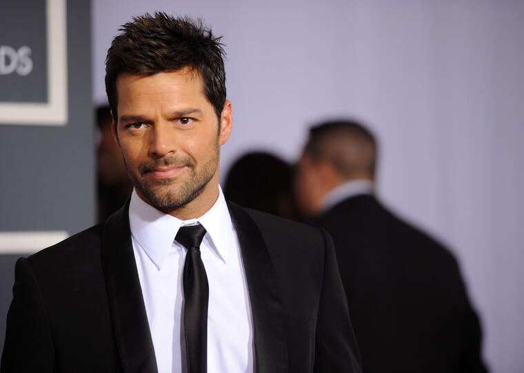 Ricky Martin The 53rd Annual GRAMMY Awards - Arrivals