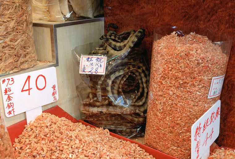 En China, solo los más ricos tienen como costumbre consumir animales exóticos como las serpientes. 