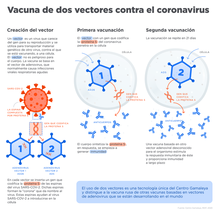 Infografía sobre el funcionamiento de la vacuna Sputnik V.