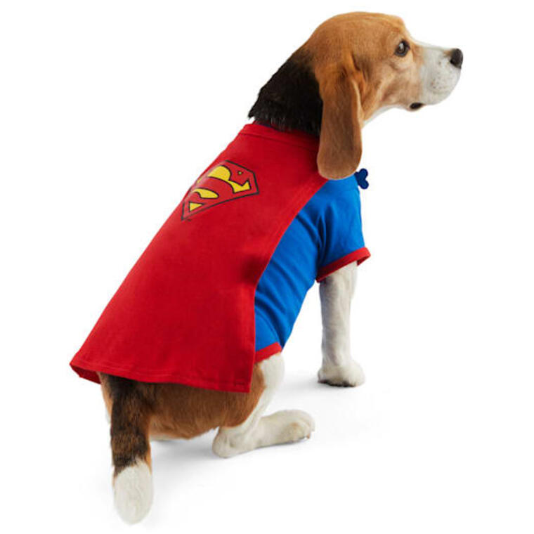 Superman Pet T-Shirt With Removable Cape - Petco