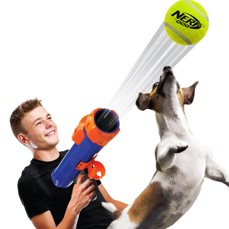 Tennis Ball Blaster Dog Toy with 4 Balls - Walmart