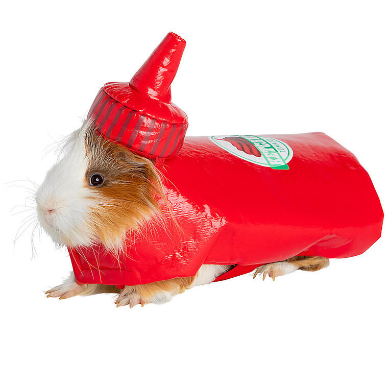 Thrills & Chills™ Small Animal Ketchup Costume - Petsmart