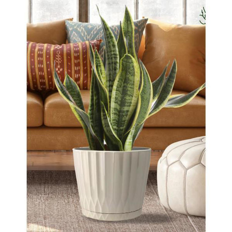Wilson 10 in. Plastic Planter with Saucer - The Home Depot