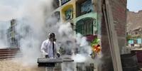 Contagios y muertes por dengue en Perú se triplican en 2024