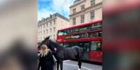Captan a dos caballos galopando en el centro de Londres