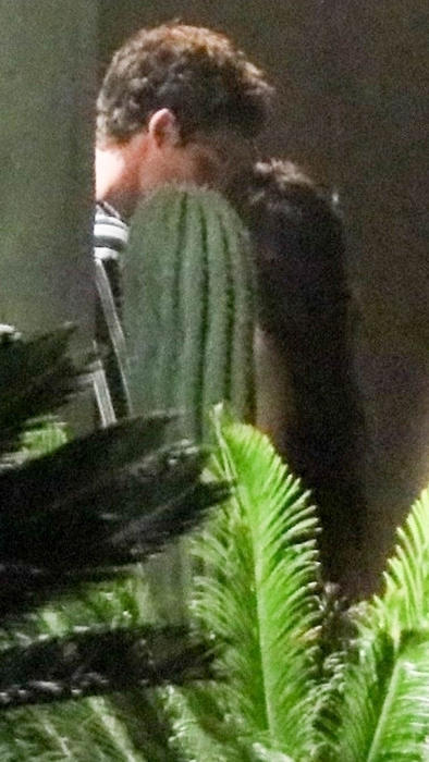 Shawn Mendes aparentemente dando un beso a Camila Cabello en julio de 2019