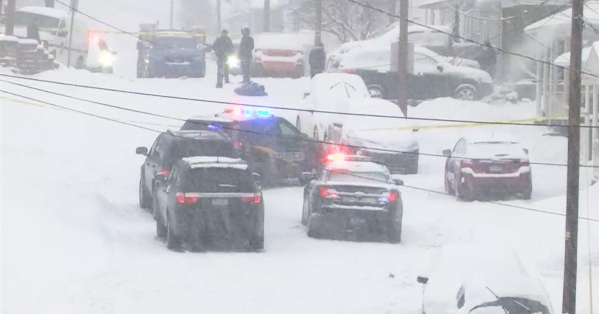 tres muertos tras una pelea entre vecinos que paleaban nieve