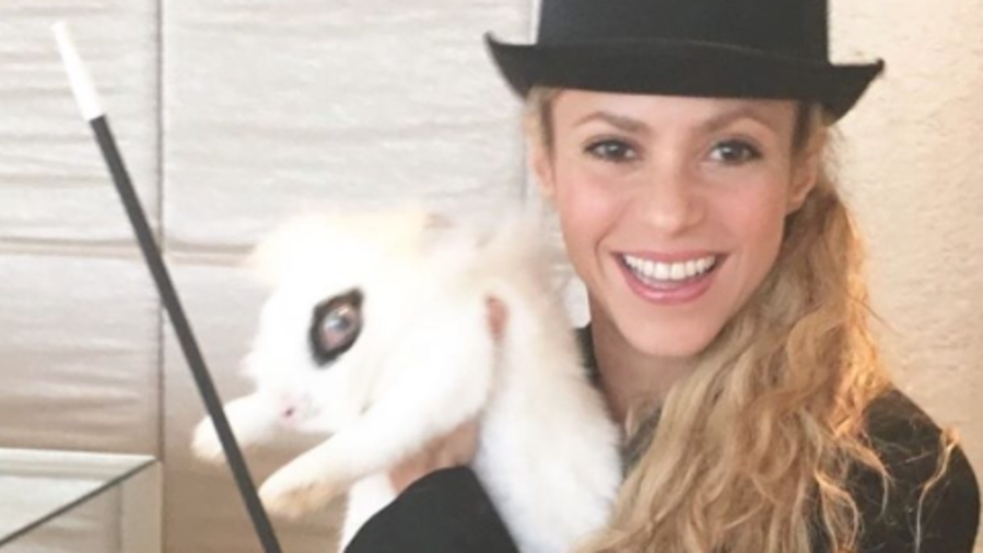 Shakira vestida de maga con un conejo