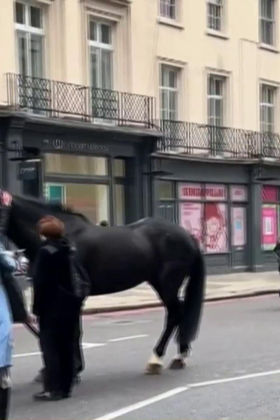 Caballos corren desbocados por el centro de Londres