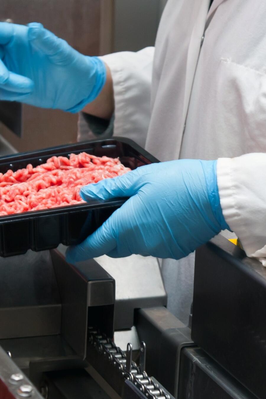 Expertos analizan suministros de carne molida ante posible contaminación de la gripe aviar